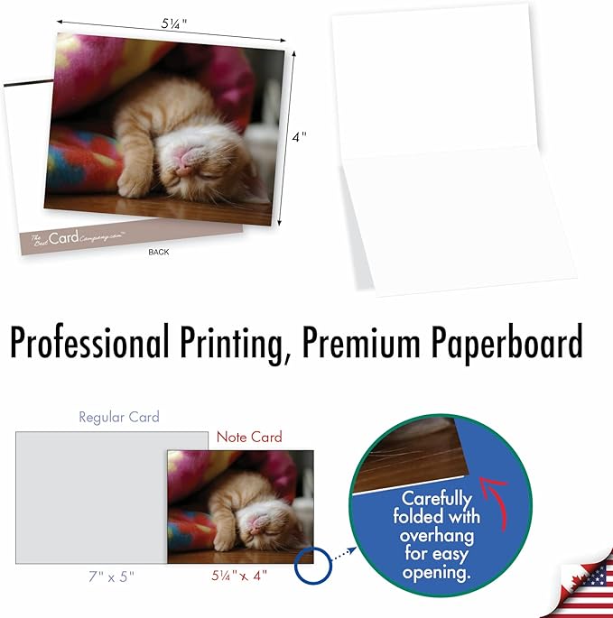 The Best Card Company - 10 Adorable Blank Cat Cards (4 x 5.12 Inch) - Cute Pet Kittens, Assorted Bulk Notecard Set - Cat You See Me Now M1543BN