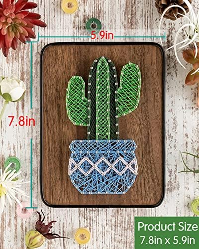 BAZIMA DIY String Art Kit for Beginner,Cactus String Art,DIY Cactus Potted Craft Kit,Unique Gift,Craft Kit for Holidays - Image 3