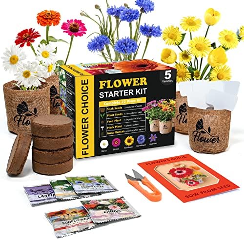 Indoor Daisy Garden Starter Kit with Gardening Tools - Planter Bags, Markers, Soil Disks and Shears, Home Gardening Gifts for Women Men Plant Lovers by Meekear-BEWITHYOU