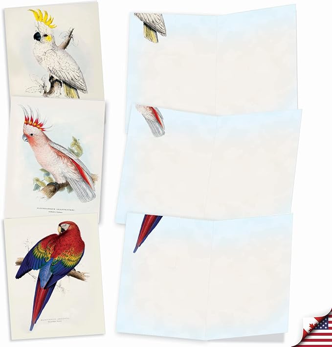 The Best Card Company - 10 Assorted Blank Notecards Bulk Box Set 4 x 5.12 Inch with Envelopes (10 Designs, 1 Each) - Birds of a Feather M6034