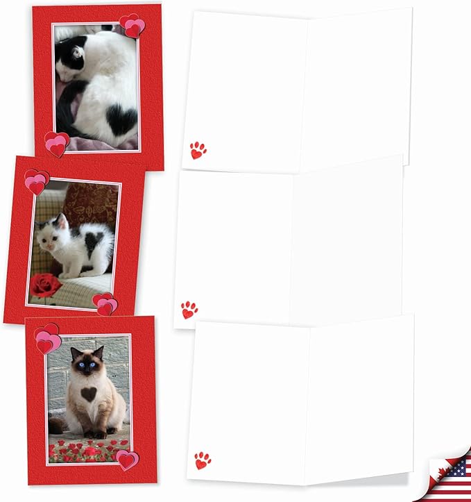 The Best Card Company - 10 All Occasion Blank Cat Cards (4 x 5.12 Inch) - Cute Assorted Bulk Card Set - Heartfelt Cats M5658OCB-B1x10