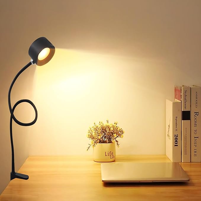 Portable and Rechargeable LED Desk Lamp,Versatile Lighting Solution for Office, Study, and Outdoor Activities