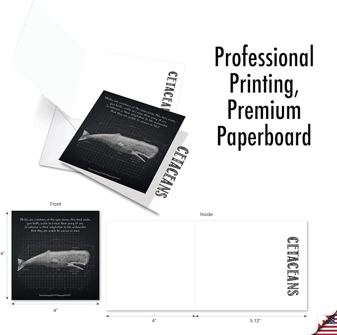 The Best Card Company - 10 Blank Note Cards with Envelopes (4 x 5.12 Inch) - Ocean Whale Images, Bulk Boxed Set - Whale Known MQ4960OCB-B1x10