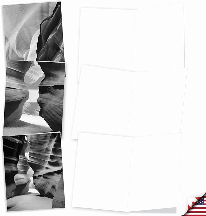 The Best Card Company - 10 Blank Note Cards with Envelopes (4 x 5.12 Inch) - Black & White Photos, Bulk Boxed Set - Free Forms M3310