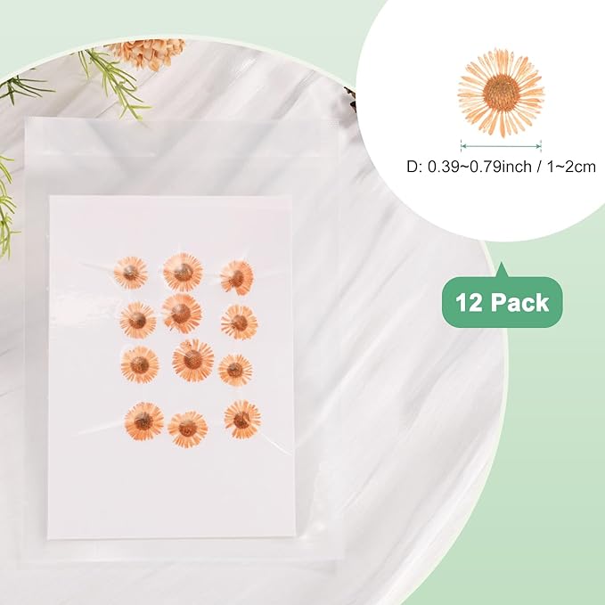 12-Pack Dried Pressed Flowers for Resin, Real Natural Bulk Dry Floral for Crafts/DIY Jewelry/Soap Making/Scrapbooking/Candle/Epoxy Resin Supplies [Orange]