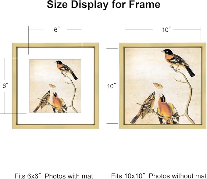 10x10 Picture Frame, Brass Metal Square Photo Frames with HD Glass, Fits 6x6 with Mat or 10 x 10 without Mat, Display for Wall and Table, 1 Pack