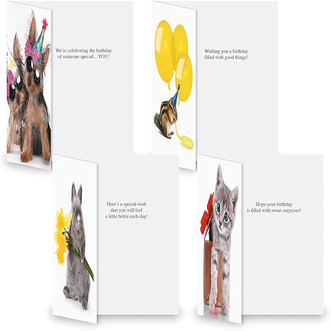 Current Big Bouquet Animal All Occasion Value Pack - 20 Cards With Envelopes, Celebration, Get Well, Sympathy, Birthday, Anniversary & Thinking of You Variety, Large 5" x 7" Assortment, 10 Design Set