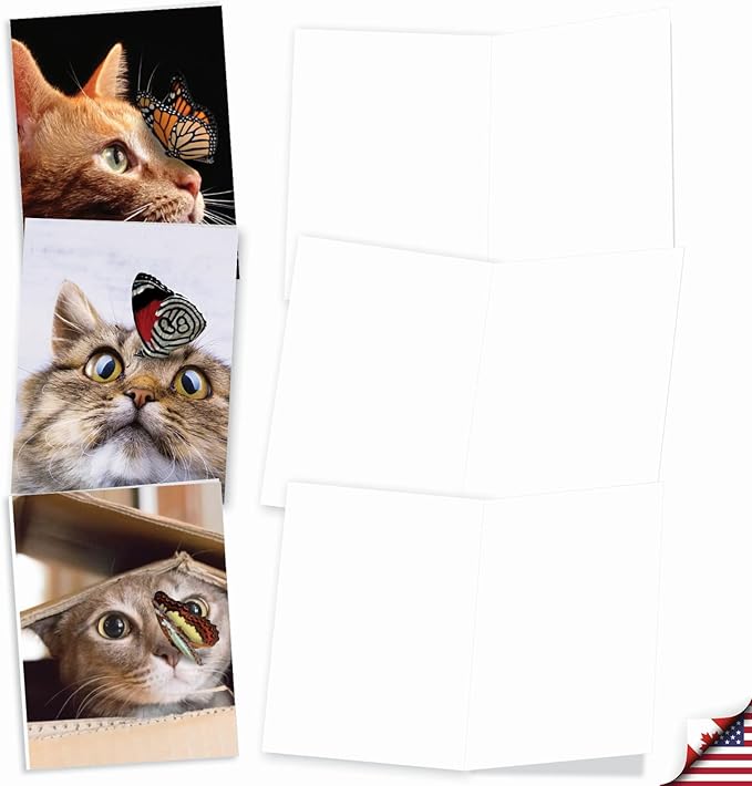 The Best Card Company - 10 All Occasion Blank Cat Cards (4 x 5.12 Inch) - Cute Assorted Bulk Card Set - On The Nose M4947OCB-B1x10