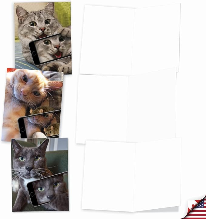 The Best Card Company - 10 Adorable Blank Cat Cards (4 x 5.12 Inch) - Cute Pet Kittens, Assorted Bulk Notecard Set - Cats Selfie M4953OCB-B1x10-NB
