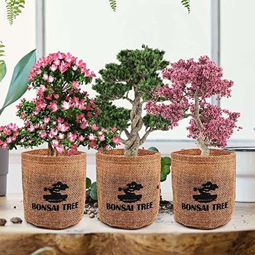 Meekear Indoor Starter Kit with Complete Planting Tools, Gardening DIY Gift for Plant Lovers - Image 6