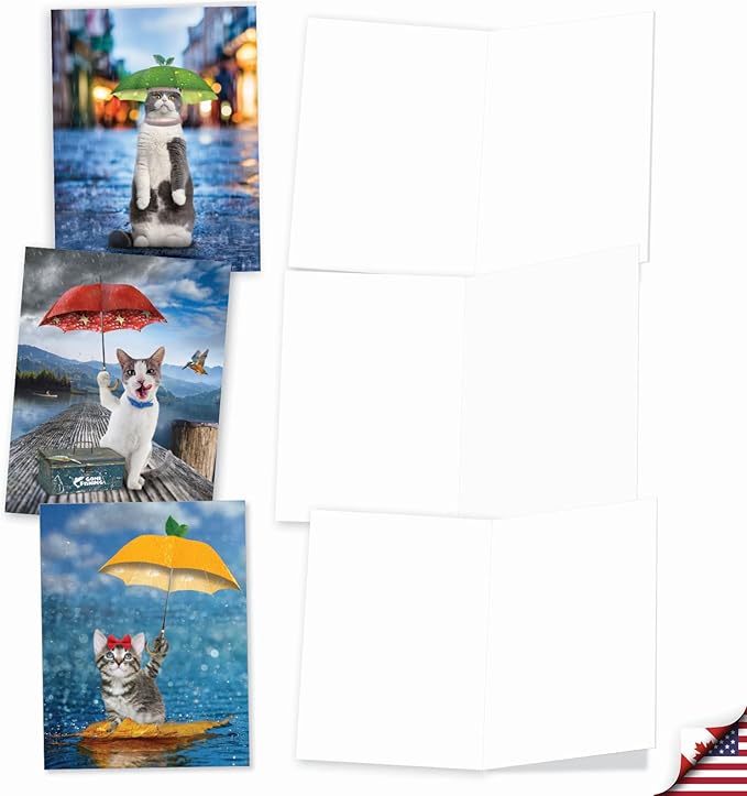 The Best Card Company - 10 All Occasion Blank Cat Cards (4 x 5.12 Inch) - Cute Assorted Bulk Card Set - Fruit Cat AM6323OCB-B1x10