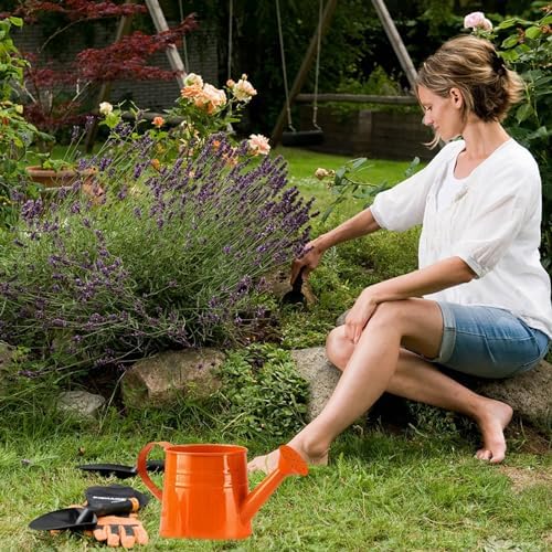 Galvanized Iron Watering Can, Tinplate Watering Kettle Small Flower Pot Plant Flower Pot, Durable Metal Flower Pot, Ideal for Gardening and Home Decor (F) - Image 4