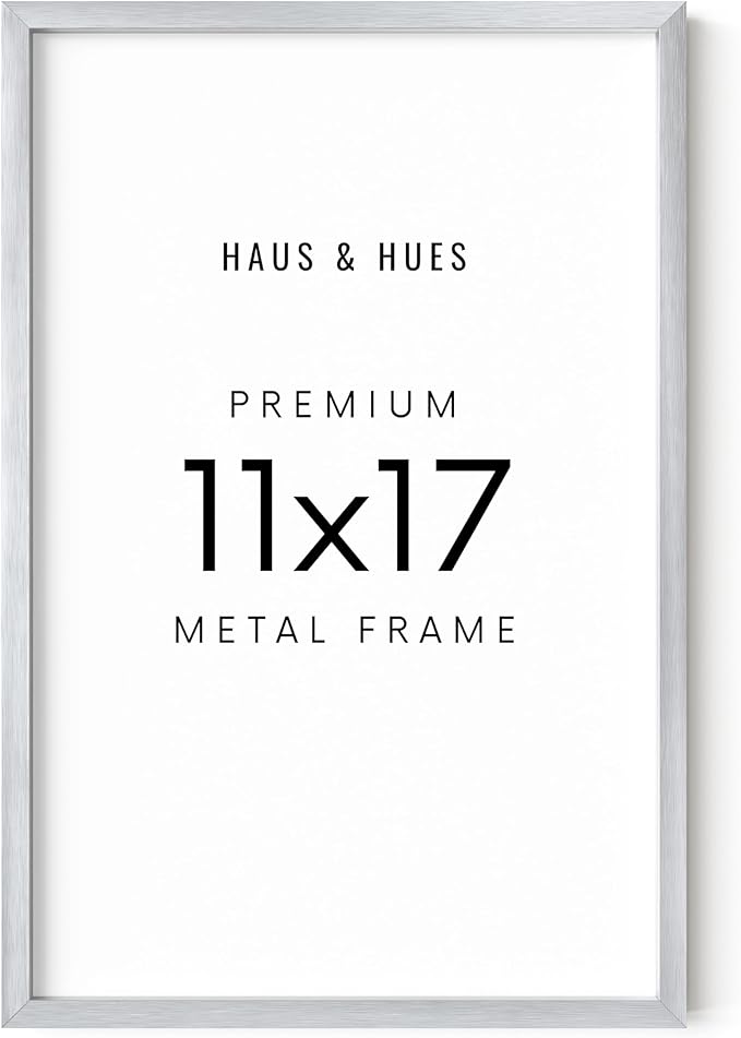 HAUS AND HUES Standalone Silver Aluminum Frame Set of 1-11x17