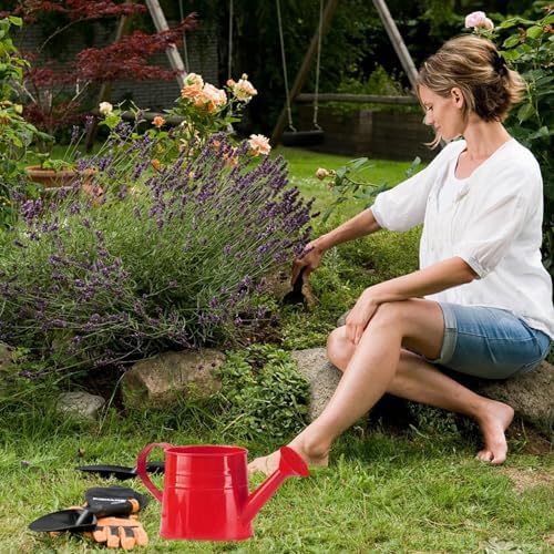 Watering Can Gardening Tool Accessories, Sprinkling Can 1L Metal Flower Garden Watering Can for Outdoor Indoor Plants Lawn Garden (red) - Image 3