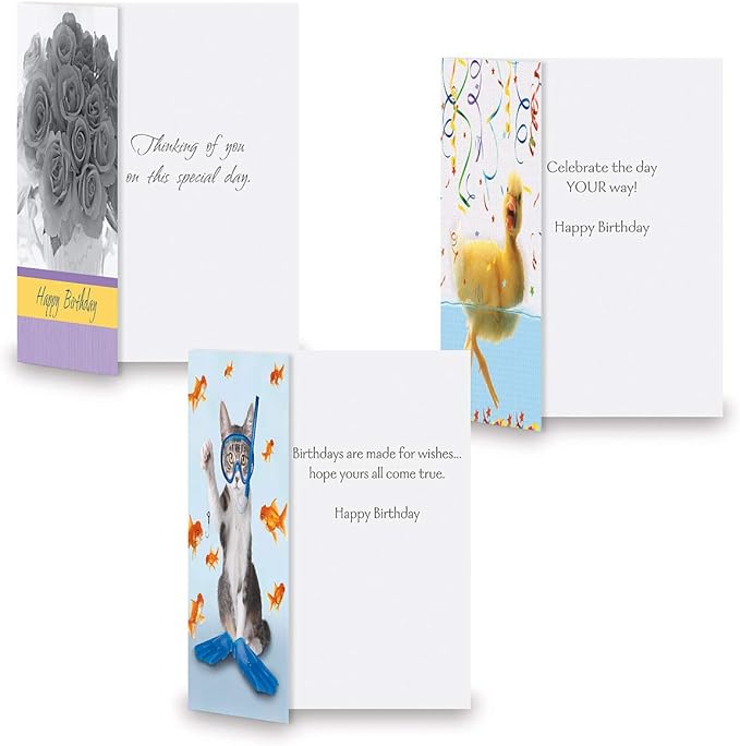 Current Mega Birthday Greeting Card Variety Value Pack – Set of 36 (18 Designs), Large 5 x 7 inches, Envelopes Included