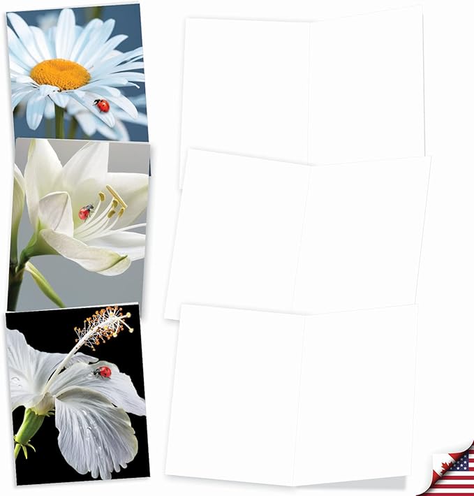 The Best Card Company - 10 Blank Note Cards for Men and Women (4 x 5.12 Inch) - Fun Pets, Zoo, Wildlife Cards, Assorted Greetings Boxed - My Fair Ladybug AM6332OCB-B1x10
