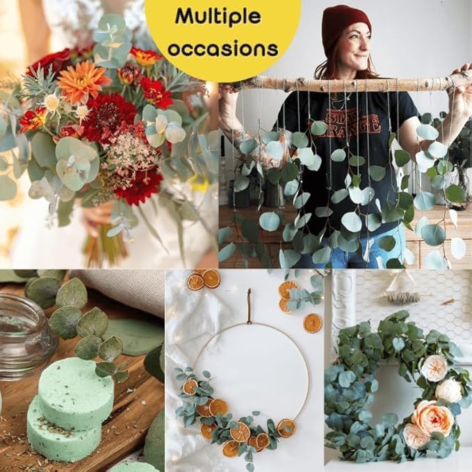 24PCS Dried Eucalyptus & Silver Dollar Leaves Bundle - 17" Large Real Eucalyptus Leaves for Shower, Home Decor, Bathroom, Dried Flowers, Christmas Garland