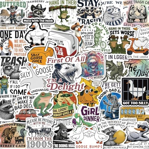 200 PCS Funny Holographic Stickers for Adults, Waterproof Vinyl Sarcastic Meme Decals for Laptop, Water Bottle, Phone, Kindle, Journal, Scrapbook, Bumper, Skateboard, Luggage, No Repeats by BARRELTREE