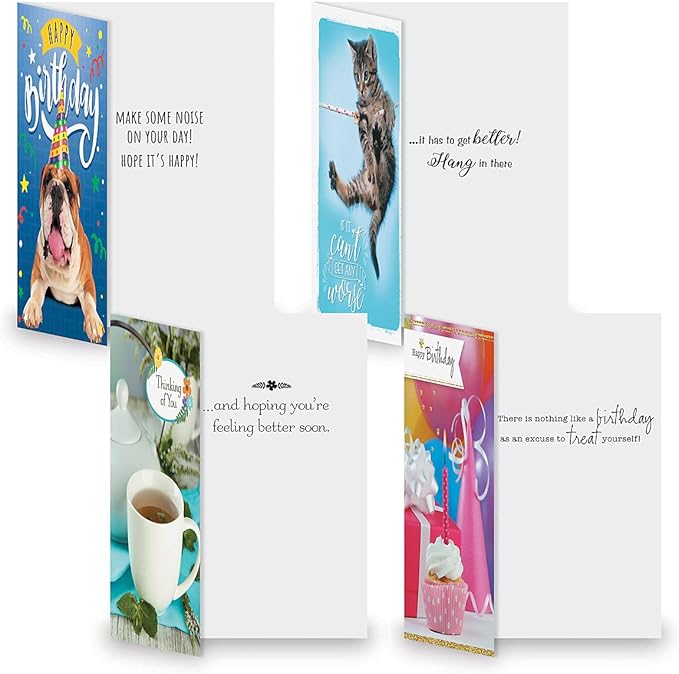 Current Modern Messages All Occasion Value Pack With Seals-40 Cards & Envelopes, Celebration, Get Well, Sympathy, Birthday, Holiday, & Thinking of You Variety, Large 5" x 7" Assortment, 20 Design Set