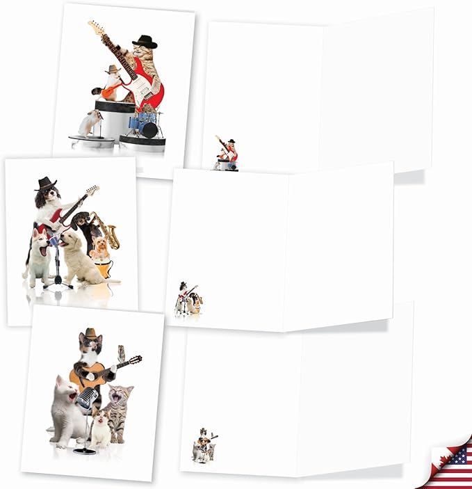 The Best Card Company - 20 Assorted Bulk Animal Cards Boxed (4 x 5.12 Inch) (10 Designs, 2 Each) - Animal Bands AM9508OCB-B2x10