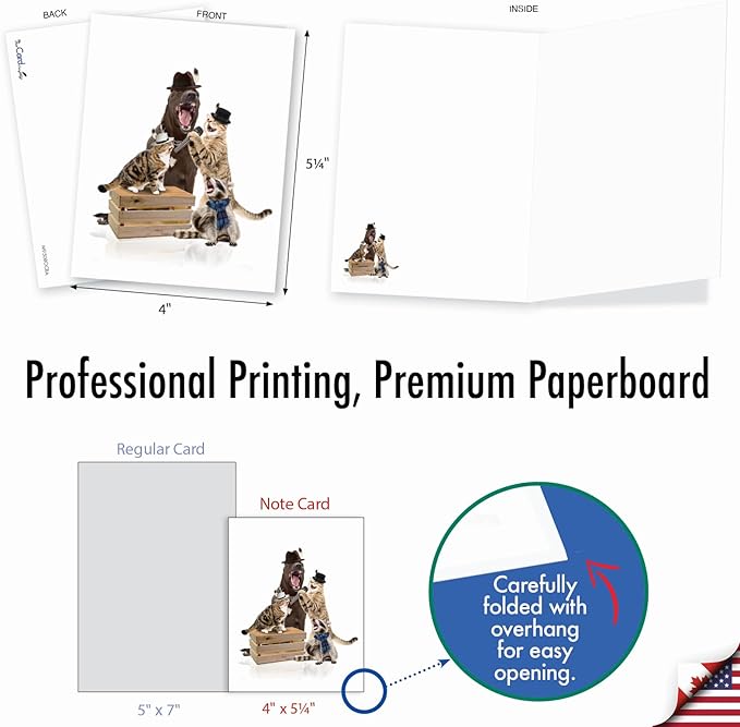 The Best Card Company - 20 Assorted Bulk Animal Cards Boxed (4 x 5.12 Inch) (10 Designs, 2 Each) - Animal Bands AM9508OCB-B2x10