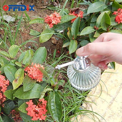 OFFIDIX Plant Spray Bottle Glass Mister Transparent Spritzer ﻿ ﻿ ﻿ - Image 3
