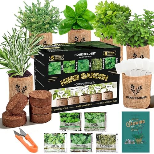 Meekear 5 Herb Indoor Starter Kit, Complete Planting Set for Kitchen Herb Garden DIY & Gift by Meekear-BEWITHYOU