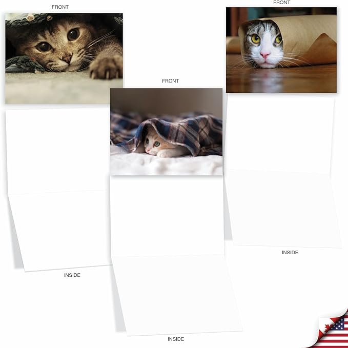 The Best Card Company - 10 Adorable Blank Cat Cards (4 x 5.12 Inch) - Cute Pet Kittens, Assorted Bulk Notecard Set - Cat You See Me Now M1543BN