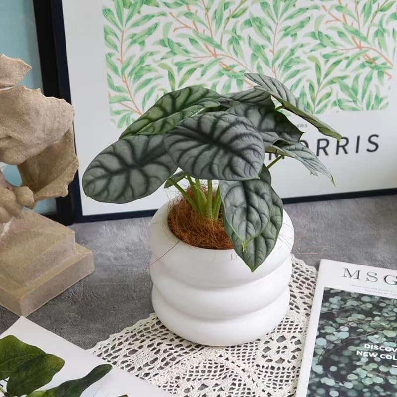 Ceramic Plant Pot Indoor, 4.5 Inch Flower Pot with Drainage Hole, Small Bubble Design Ceramic Planter for Home & Office Decor (White) - Image 4
