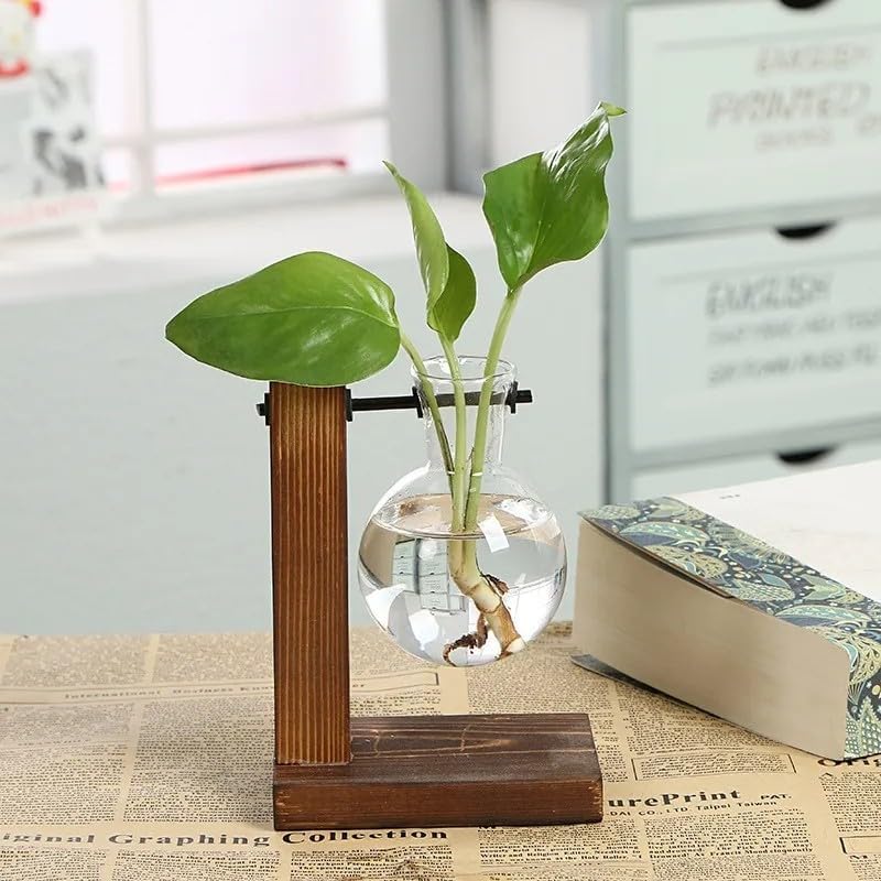 Plant Terrarium with Wooden Stand, Desktop Propagation Stations Glass Air Planter Metal Swivel Holder for Indoor Live Hydroponics Plants Office Home Garden Decor (1 Bulb Vase) by SlenyuBridal