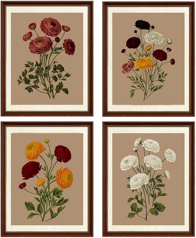 Ranunculus Flowers Prints,Vintage Floral Painting Botanical Canvas Wall Art Poster for Home Office School, Antique Botany Garden Nature Plant Flowers Artwork ,Set of 4 ( 8 x 10 in) Unframed