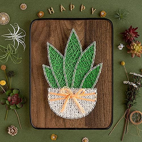 BAZIMA DIY String Art Kit for Beginner,DIY Aloe Potted Craft Kit,Unique Gift,Craft Kit for Holidays - Image 7