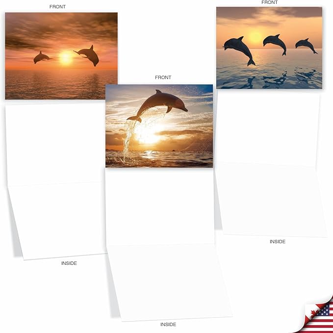 The Best Card Company - 10 Blank Animal Cards Boxed (4 x 5.12 Inch) - Assorted Pets, Zoo, Wildlife Cards for Kids - Sunset Dolphins M6460OCB-NB