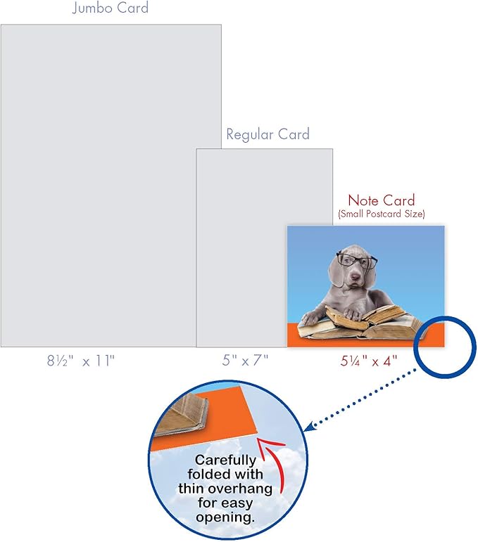 The Best Card Company - 10 Blank Dog Greeting Cards for All Occasions (4 x 5.12 Inch) - Reading Eye Dogs M3967