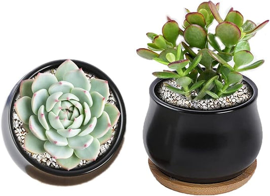 2 Pack Succulent Pots, 2.5 Inch Mini Ceramic Pots for Flower or Cactus Plants with Drainage Hole,Plants Not Included (Black)