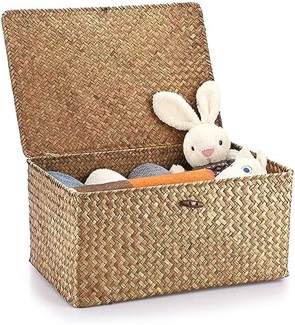 Hipiwe Wicker Shelf Baskets Bin with Lid Woven Storage Box, Coffee X-Large by Hipiwe