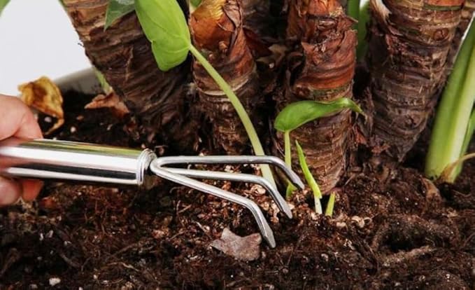 2 Pcs Stainless Steel Mini Garden Tools Set Small Tiny Shovel Hand Rake Indoor Outdoor Gardening Tools for Pot Plants Succulent Bonsai