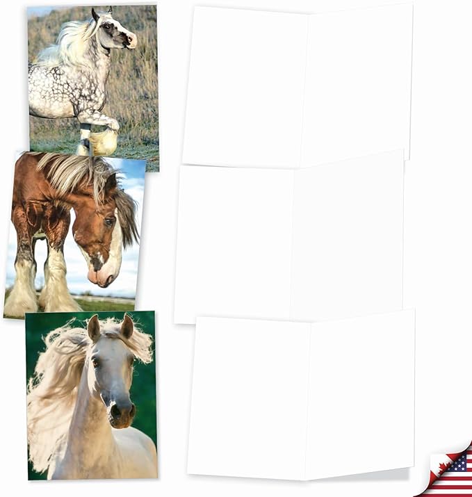 The Best Card Company - 20 Blank Note Cards with Envelopes (4 x 5.12 Inch) - All Occasion Animal Card Assortment (10 Designs, 2 Each) - Horses | Magnificent Manes AM4601OCB-B2x10