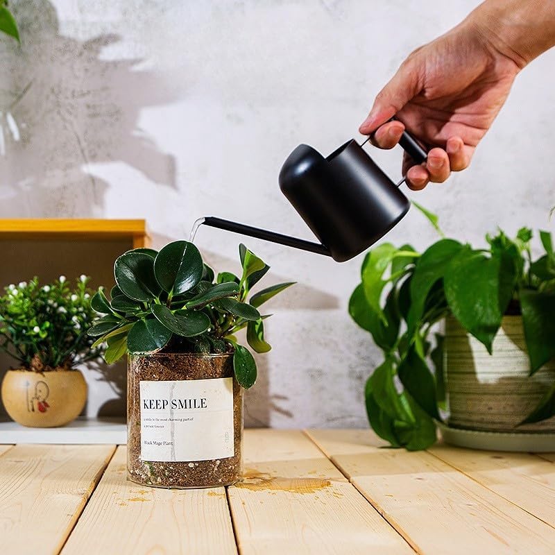 Mini Watering Can Stainless Steel Long Spout 10oz/300ml Small Watering Can for Indoor Desk Plants Outdoor Flowers Succulents Garden Watering Pot Gardening Tool（Black） - Image 2