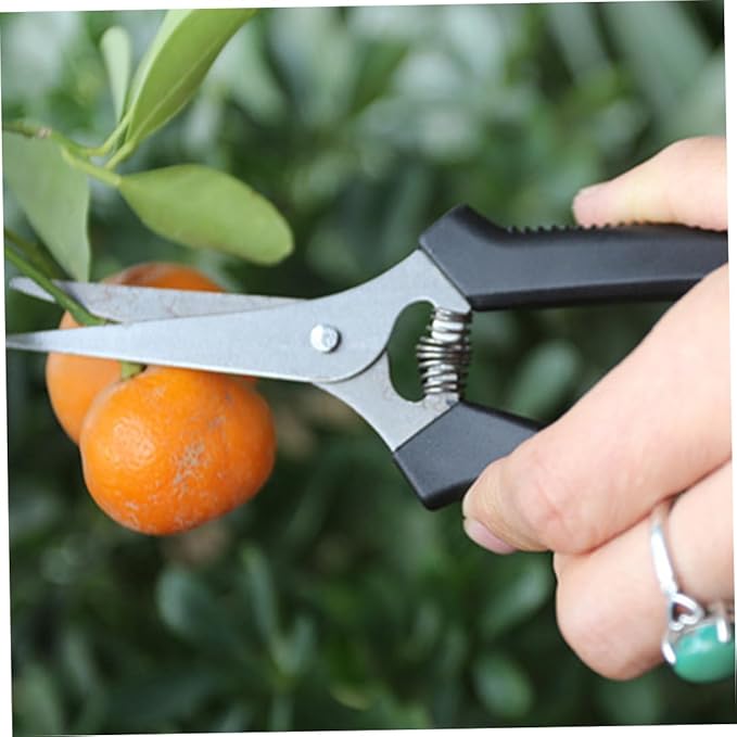 Mini Garden Tool Set, 9Pcs Transplanting Tools for Indoor & Outdoor Plant Care