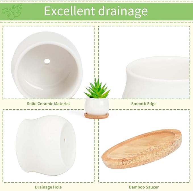 2 Pack Succulent Pots, 2.5 Inch Mini Ceramic Pots for Flower or Cactus Plants with Drainage Hole,Plants Not Included (White)