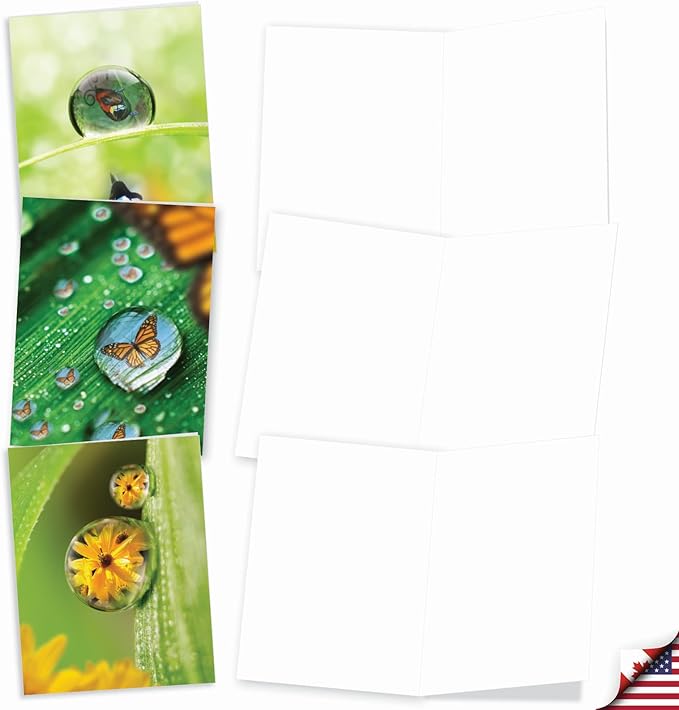The Best Card Company - 10 Blank Note Cards (4 x 5.12 Inch) - Fun Pets, Zoo, Wildlife Cards, Assorted Greetings Boxed - Waterdrop Beauty AM6111OCB-B1x10