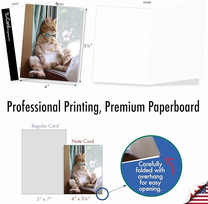 The Best Card Company - 10 All Occasion Blank Cat Cards (4 x 5.12 Inch) - Cute Assorted Bulk Card Set - Sitting Pretty Kitties M4613OCB-B1x10