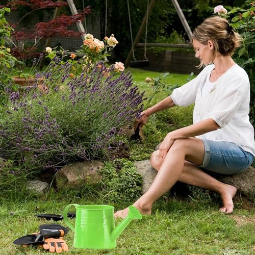 0.26 Gallon Small Watering Can, Small Modern Rustproof Indoor Watering Cans for House Plants with Sprinkler Head and Handle,Durable Decorative Lightweight Water Can for Plants for Outdoor Flower - Image 4