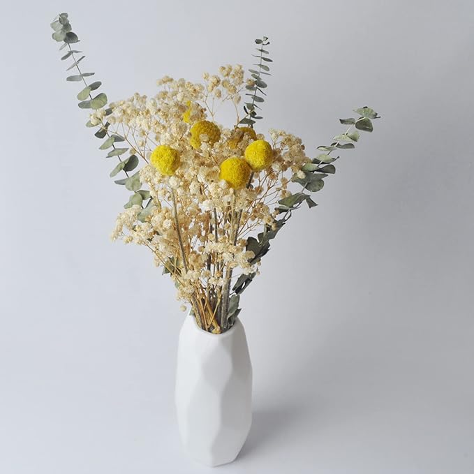 L'BREVOGA Dried Flower Bouquets, 100% Natural Flowers Craspedia/Baby’s Breath/Eucalyptus for Decoration Home Party (Billy Buttons)