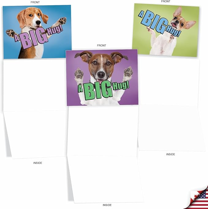 The Best Card Company - 10 Blank Dog Greeting Cards All Occasions for Men and Women (4 x 5.12 Inch) - Dog A Big Hug M6615OCB