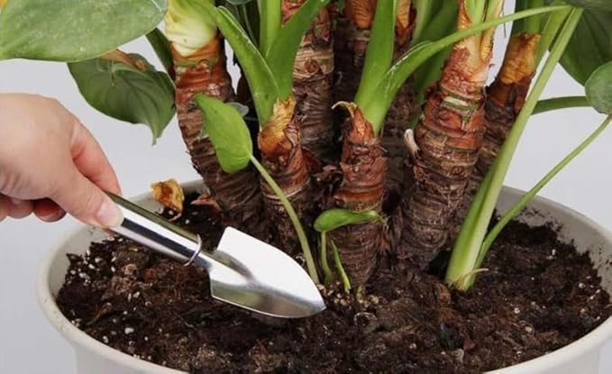 2 Pcs Stainless Steel Mini Garden Tools Set Small Tiny Shovel Hand Rake Indoor Outdoor Gardening Tools for Pot Plants Succulent Bonsai