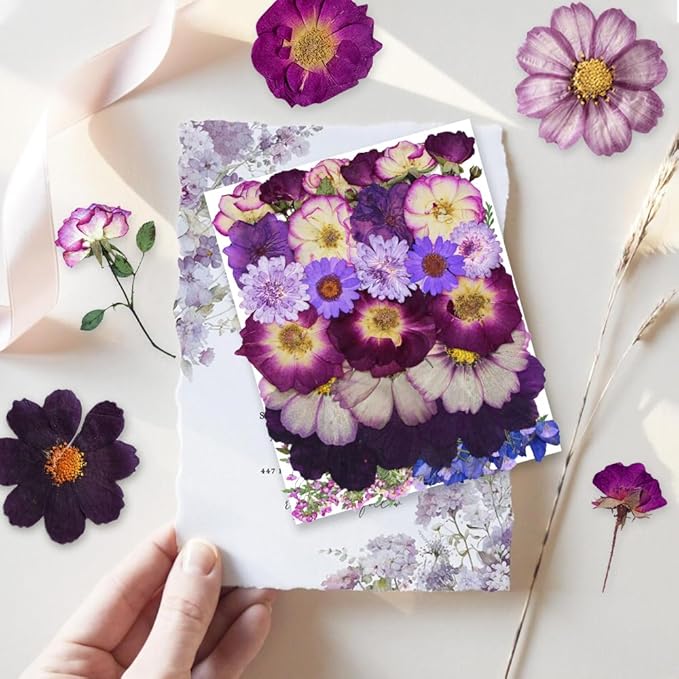Large Purple Dried Pressed Flowers - Real Natural Big Flowers for Resin, Crafts, Nail Art, Candle, Soap, Phone Cases & DIY Jewelry