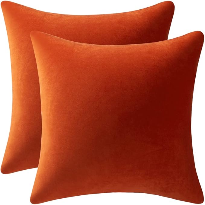 Fall Couch Pillow Cases 16x16 Burnt Orange: 2 Pack Cozy Soft Velvet Square Throw Pillow Covers for Farmhouse Home Decor