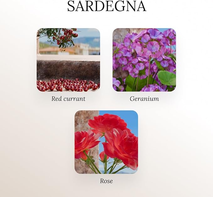 A U R A - Sardegna Fragrance Oil for Waterless Scent Diffuser - Inspired by Dipty.que-Baies | (1.7 fl oz, 50 ml) Pure Essential Oil Blends for Aromatherapy Diffuser & Hotel Collection Oil Diffuser
